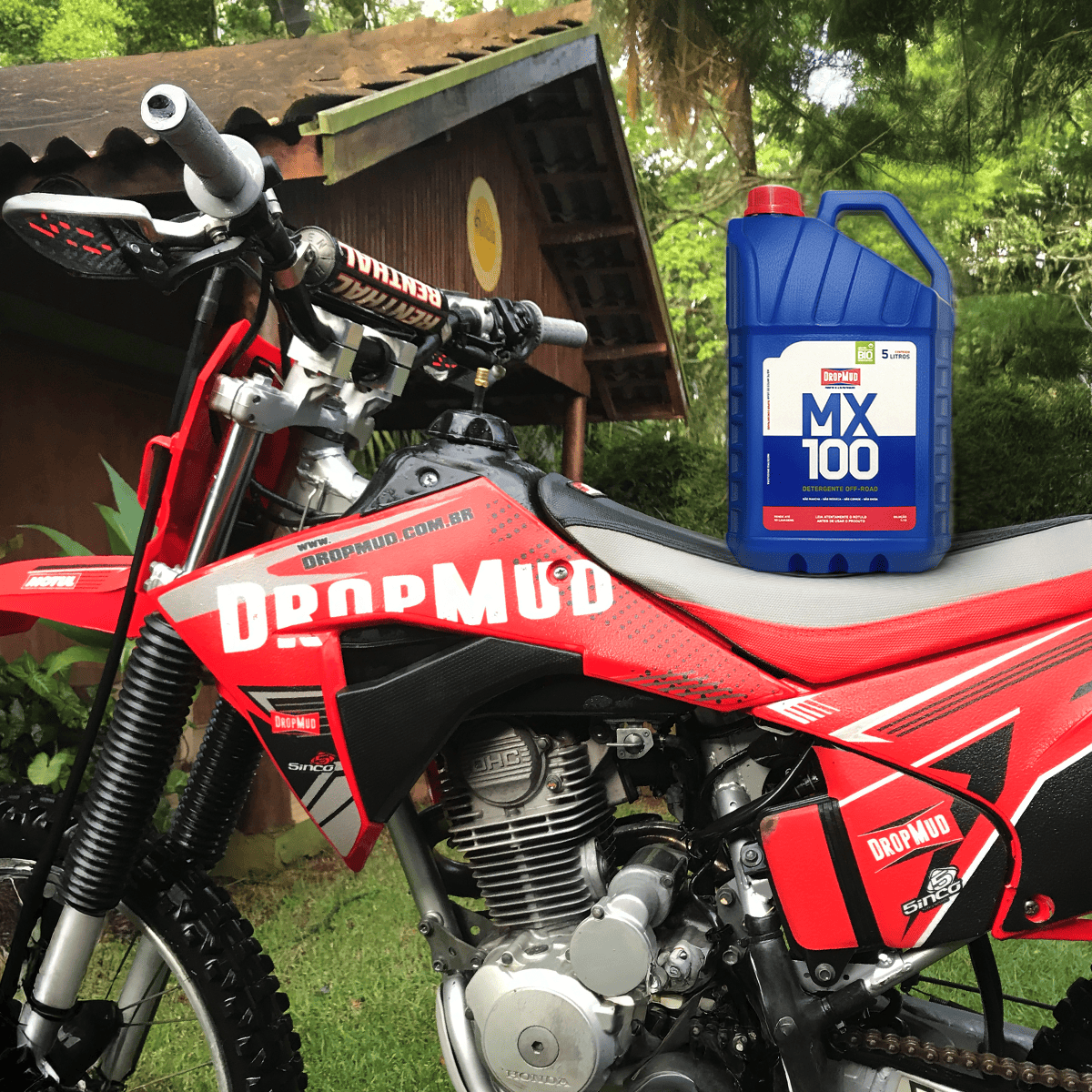 MX 100